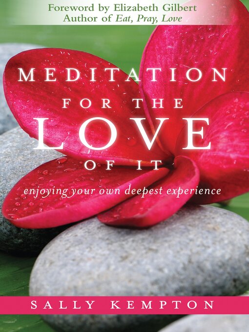 Title details for Meditation for the Love of It by Sally Kempton - Wait list